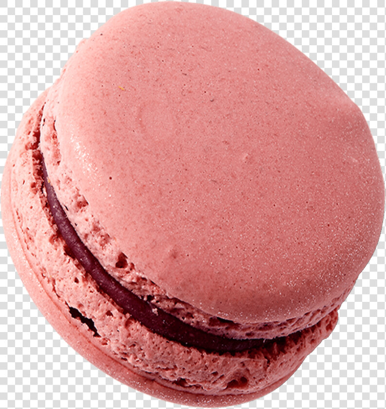 Macaroon  HD Png DownloadTransparent PNG