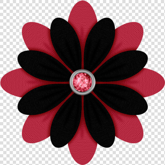 Mandalas Coloridas Floral  HD Png DownloadTransparent PNG