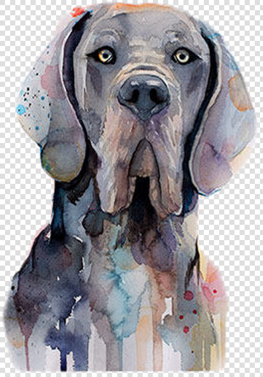 Great Dane Watercolor  HD Png DownloadTransparent PNG