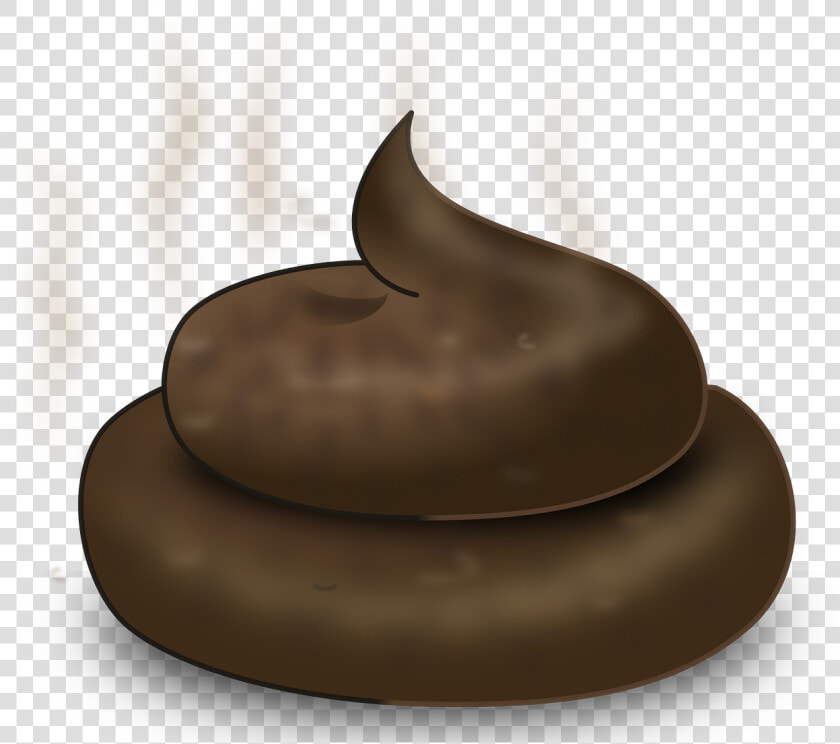 Dog Poo Png  Transparent PngTransparent PNG