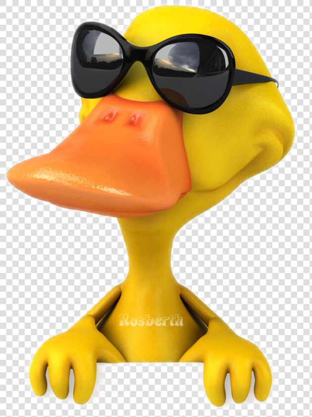  duck  animated  png  sunglasses  vector  nobackground   Duck With Sunglasses  Transparent PngTransparent PNG