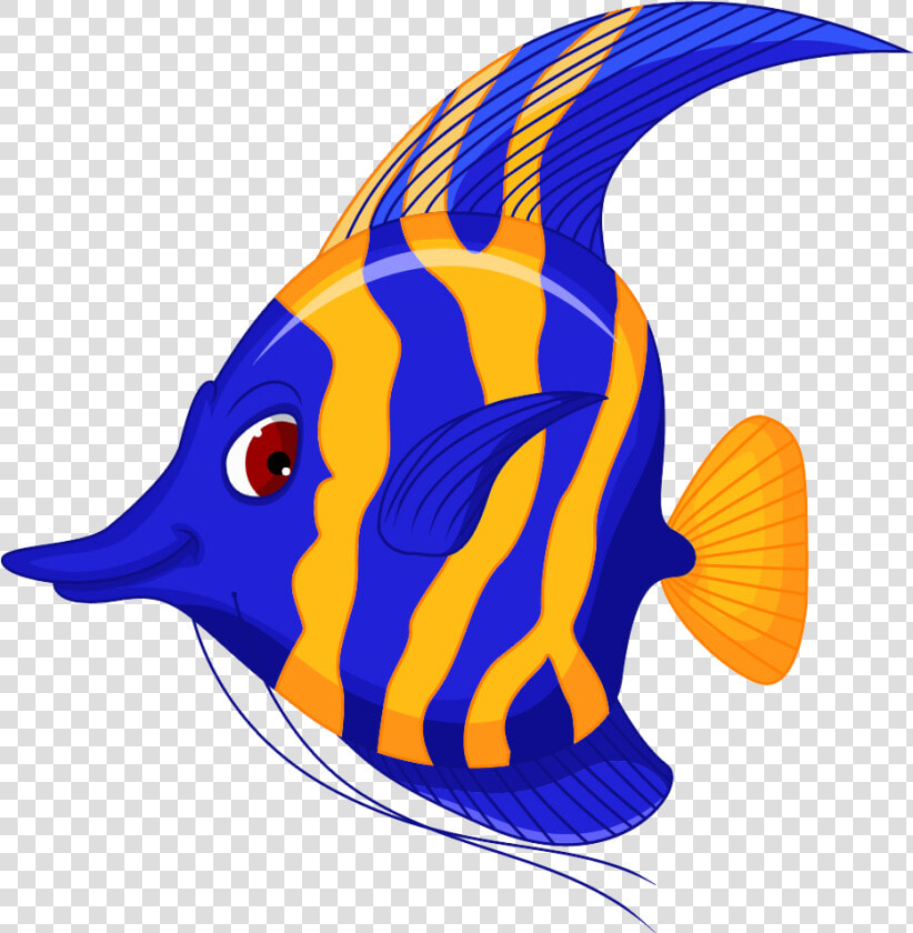 Angelfish Cartoon Clip Art   Cartoon Picture Of An Angel Fish  HD Png DownloadTransparent PNG