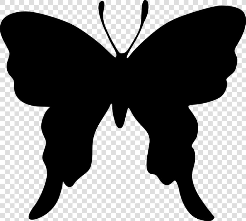 Brush footed Butterflies Butterfly Silhouette Drawing   Draw A Butterfly Silhouette  HD Png DownloadTransparent PNG