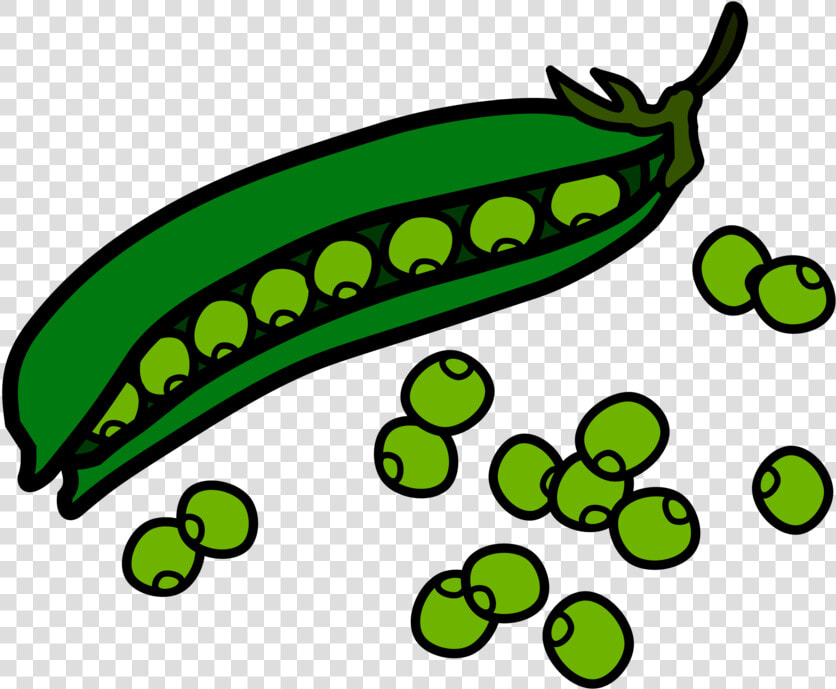 Green Beans Food Clipart   Beans Clipart  HD Png DownloadTransparent PNG