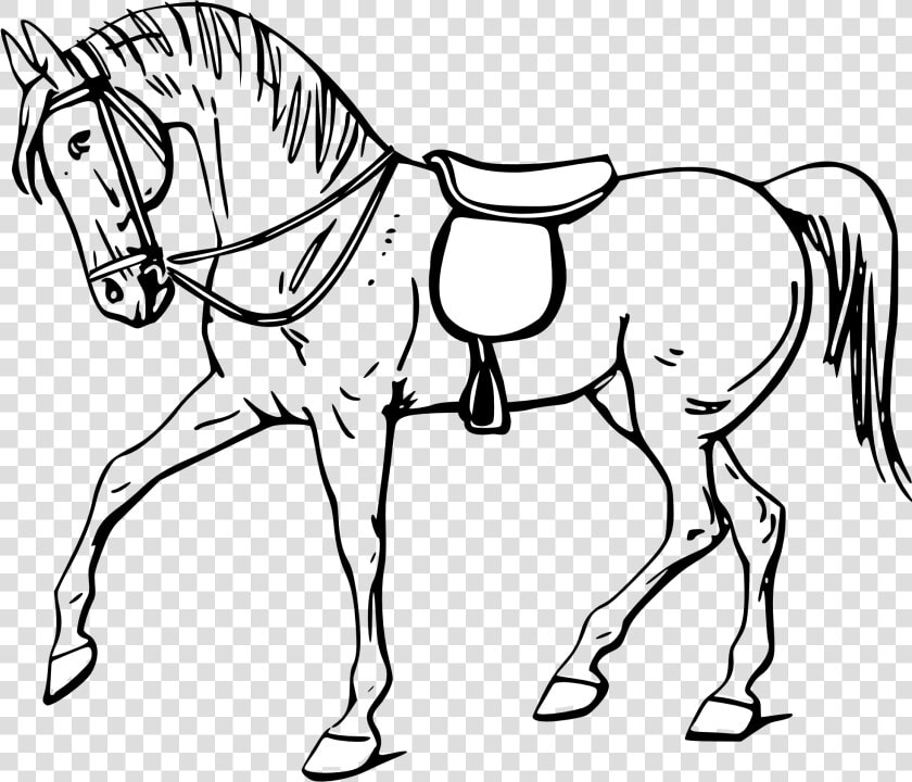 Free Vector Walking Horse Outline Clip Art   Outline Pictures Of Horse  HD Png DownloadTransparent PNG