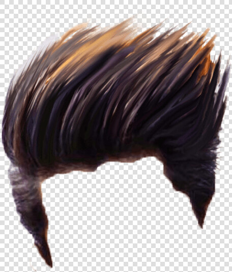 Best Hair Png For Editing   Boy Hair Style Png  Transparent PngTransparent PNG