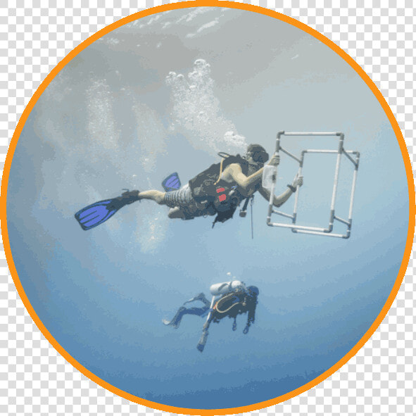 Conservation Dive Master Program   Scuba Diving  HD Png DownloadTransparent PNG