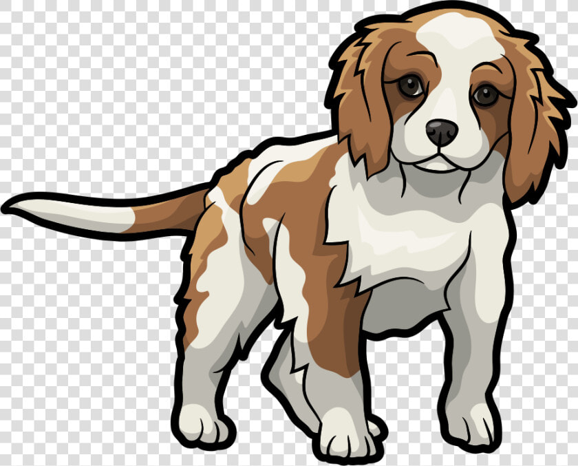 Cartoon Cavalier King Charles Spaniel Clipart   Png   Cartoon Cavalier King Charles Spaniel Drawing  Transparent PngTransparent PNG