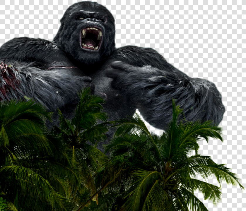 Myth kong  HD Png DownloadTransparent PNG