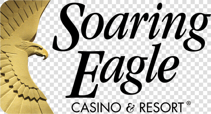 Soaring Eagle Casino And Resort Logo  HD Png DownloadTransparent PNG