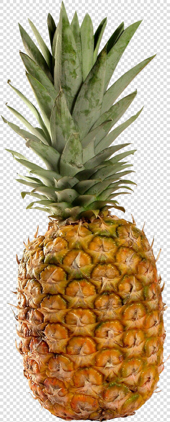 Pineapple    Pineapple Fruit Transparent Background  HD Png DownloadTransparent PNG