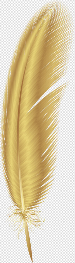 Feather Clipart Png   Gold Feather Png  Transparent PngTransparent PNG