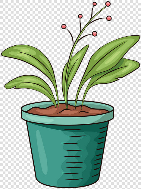 Flowerpot  HD Png DownloadTransparent PNG