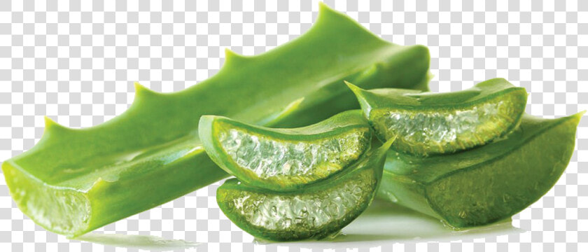 Aloe Vera Gel Png Pic   Aloe Vera Gel Leaf  Transparent PngTransparent PNG