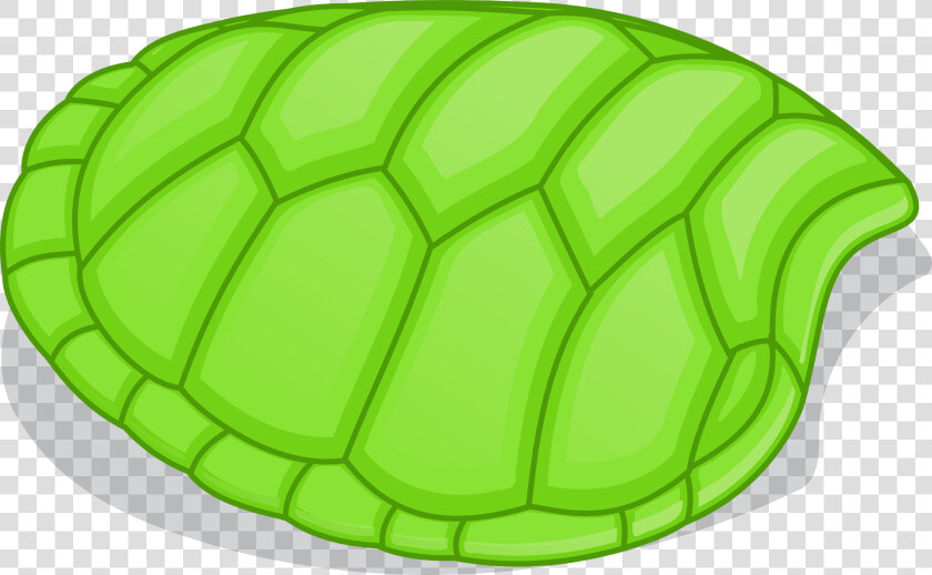 Turtle In Shell Png   Turtle Shell Clipart  Transparent PngTransparent PNG