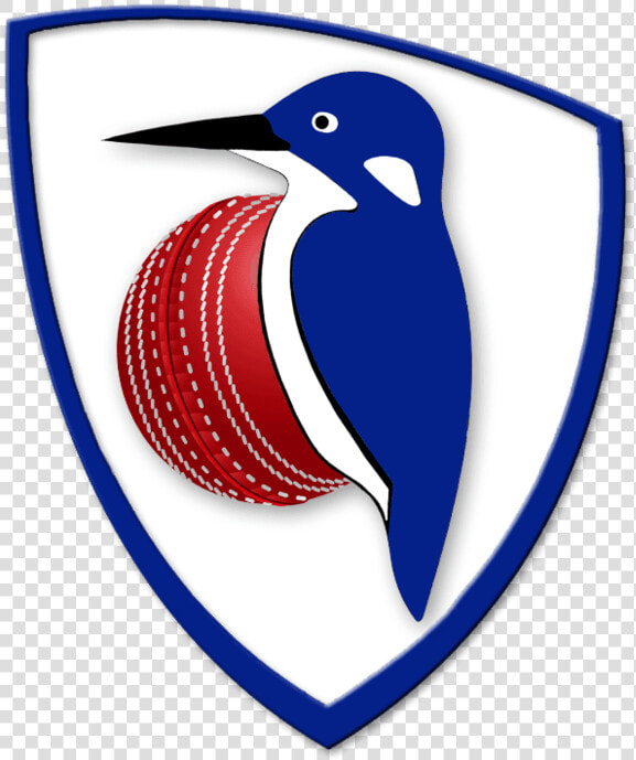 Cricket Clipart Cricket Coach   Emblem  HD Png DownloadTransparent PNG