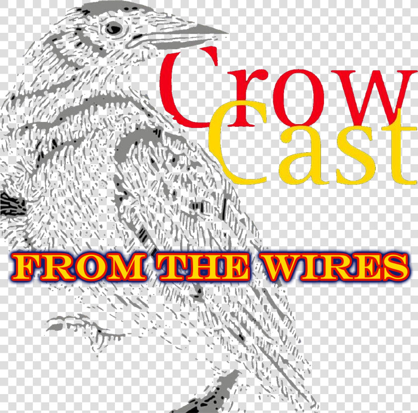 Old World Flycatcher  HD Png DownloadTransparent PNG