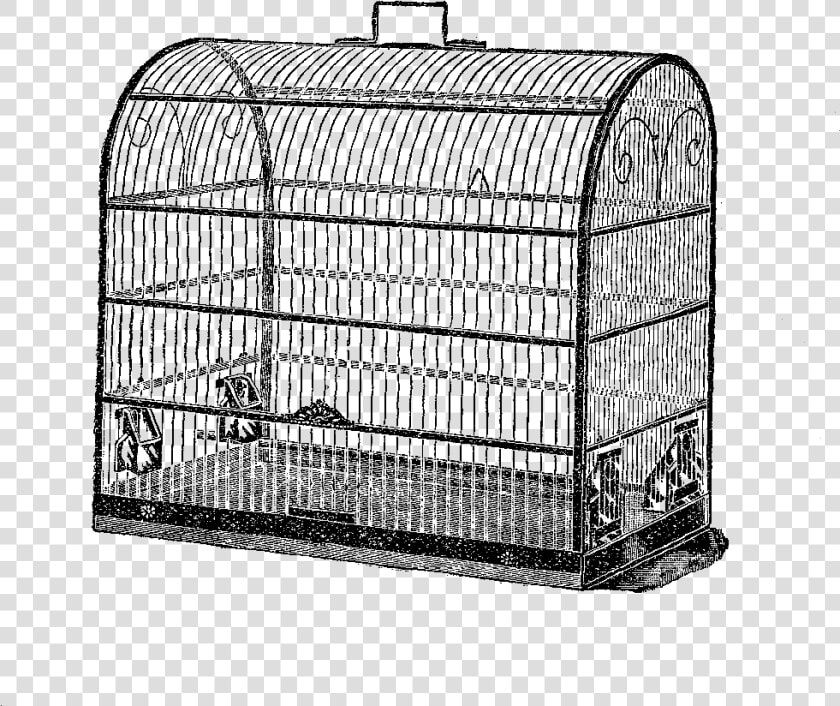 Free Bird Cage Digital Stamp   Birdcage  HD Png DownloadTransparent PNG