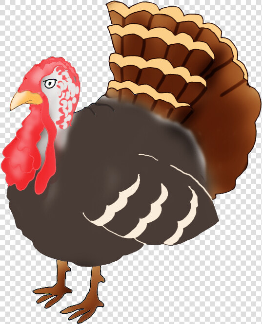 Transparent Turkey Clipart   Turkey Drawing Png  Png DownloadTransparent PNG