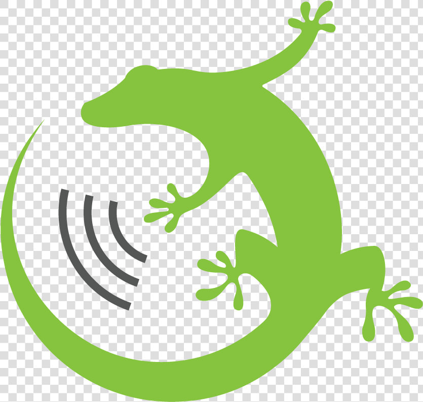 Green Gecko   Silabs Gecko  HD Png DownloadTransparent PNG