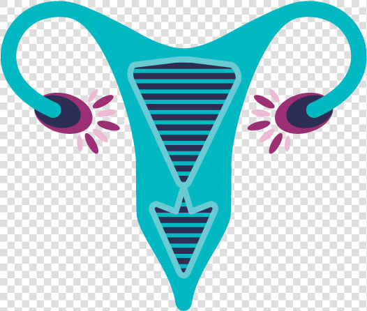 Gynaecology Png  Transparent PngTransparent PNG