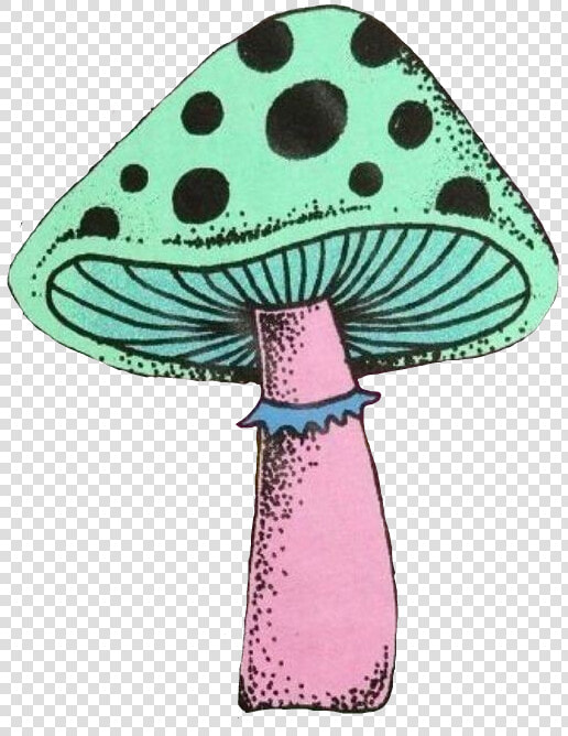  trendy  mushroom  trippy  groovy  psychedelia  psychedelic   Edible Mushroom  HD Png DownloadTransparent PNG