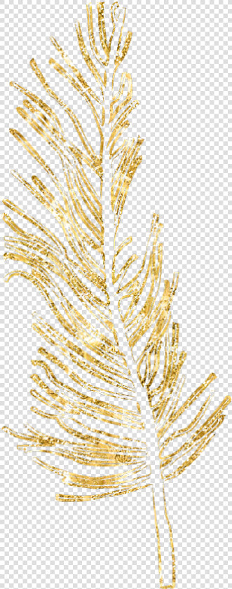  gold  feather  feathers  native  boho  glitter  decals   Transparent Gold Feather Png  Png DownloadTransparent PNG