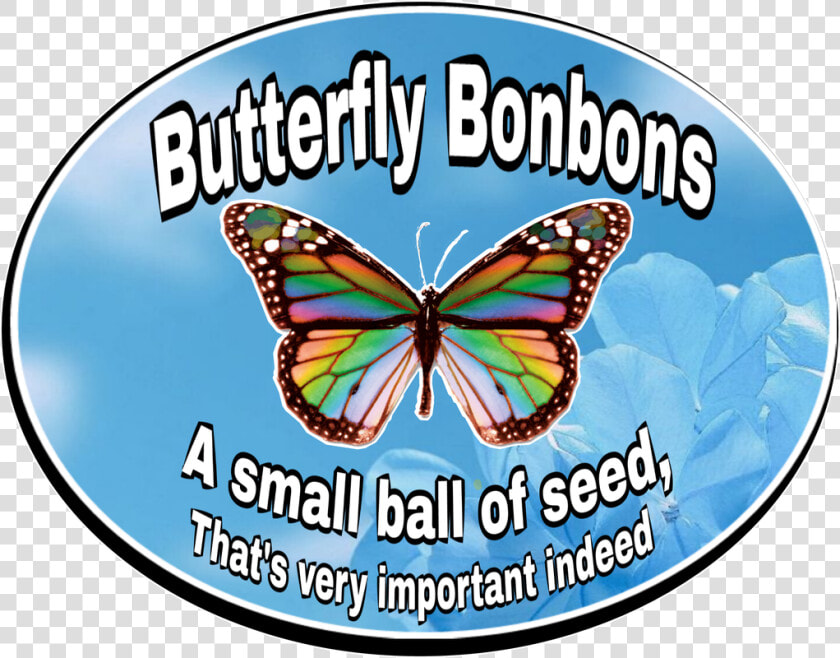 Brush footed Butterfly  HD Png DownloadTransparent PNG