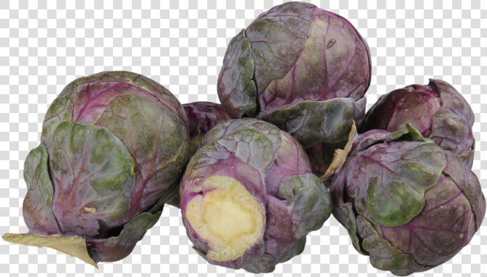 Beet Greens  HD Png DownloadTransparent PNG