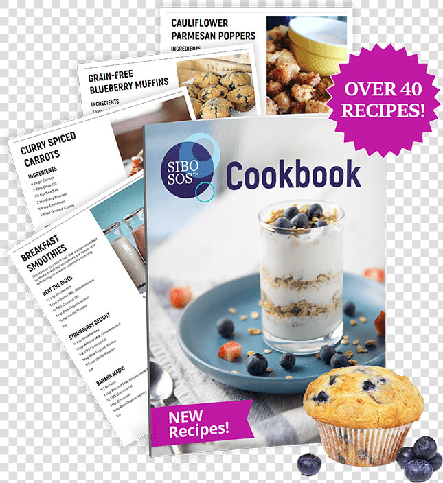 Sibo Sos Cookbook   Cake  HD Png DownloadTransparent PNG