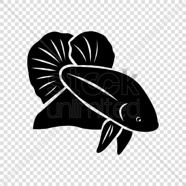 Transparent Betta Fish Clipart   Betta Fish Vector Png  Png DownloadTransparent PNG