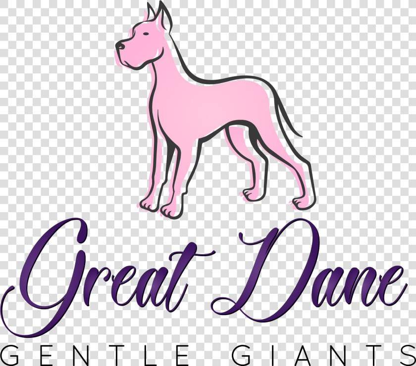 Great Dane Gentle Giants   Ancient Dog Breeds  HD Png DownloadTransparent PNG