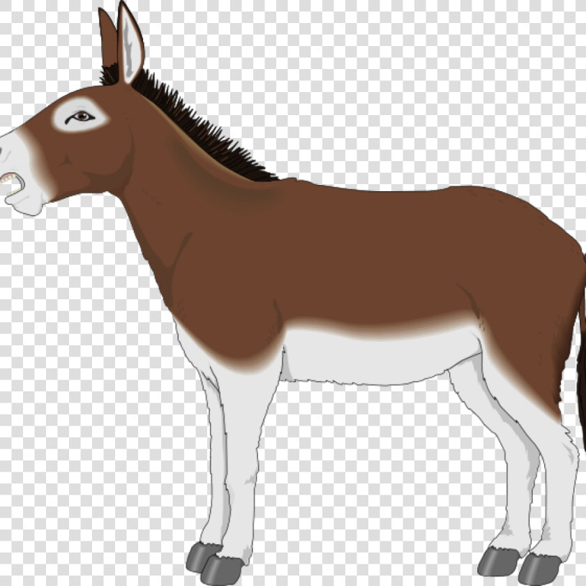 Transparent Donkey Shrek Png   Donkey Clipart  Png DownloadTransparent PNG