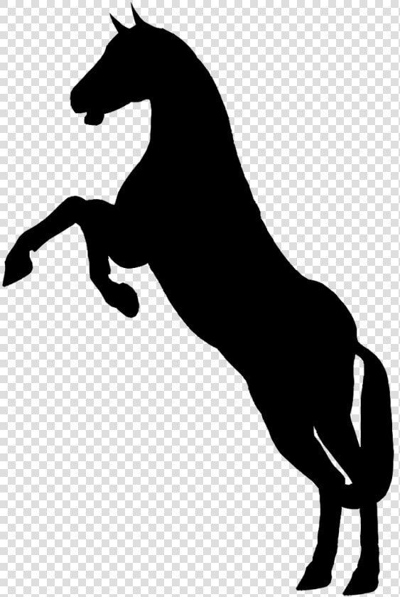 Silhouette Animal Horse   Horse Black And White Png  Transparent PngTransparent PNG