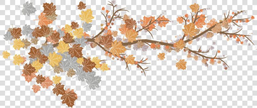 Leaves  Branches  Autumn  Nature  Plant  Botany  Garden   Fall Branches Png  Transparent PngTransparent PNG