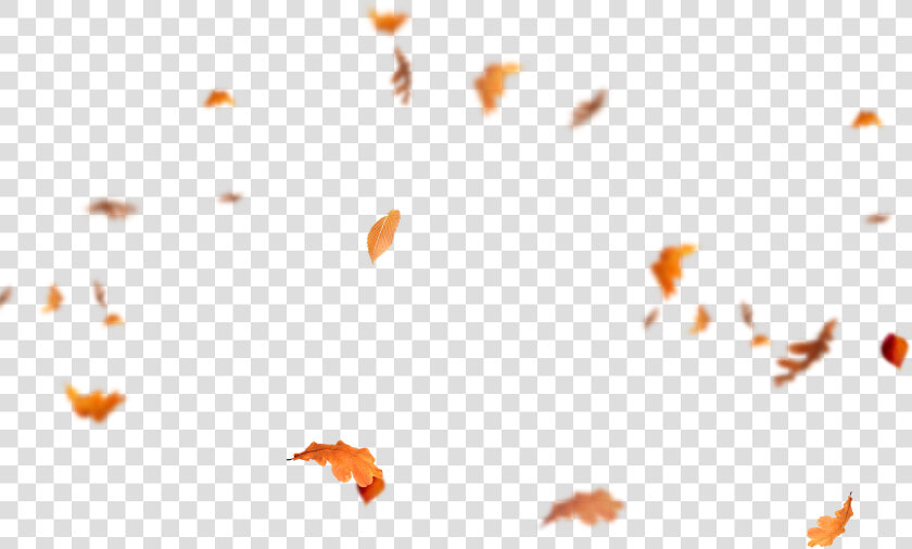 Falling Leaves Png   Autumn Leaves Flying Png  Transparent PngTransparent PNG