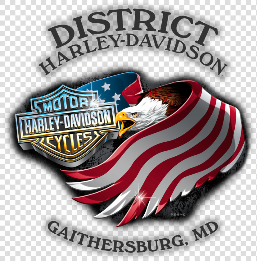 Logo Harley Davidson Png   Png Download   Harley Davidson  Transparent PngTransparent PNG