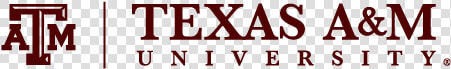 Tam Primary Mark B   Logo Texas A amp m College Station  HD Png DownloadTransparent PNG