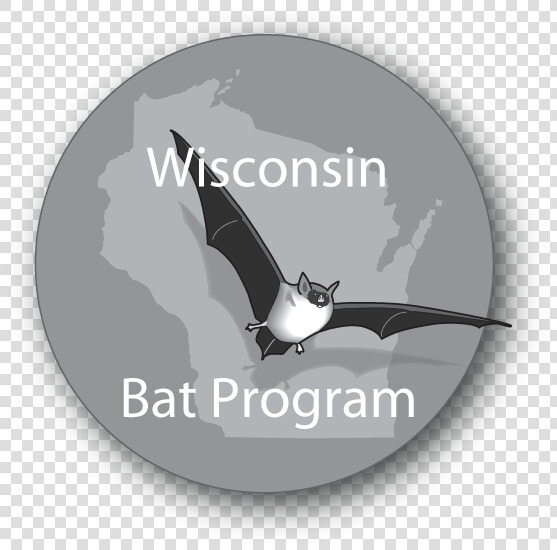 Wisconsin Bat Program Logo   Wisconsin Bat Program  HD Png DownloadTransparent PNG