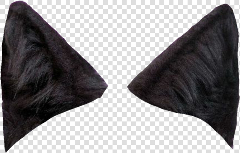 Wolf Ears Png   Black Wolf Ears Png  Transparent PngTransparent PNG