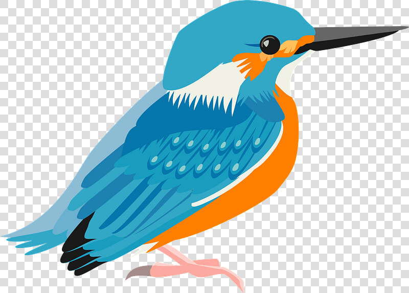 Common Kingfisher Bird Clipart   Woodpecker  HD Png DownloadTransparent PNG