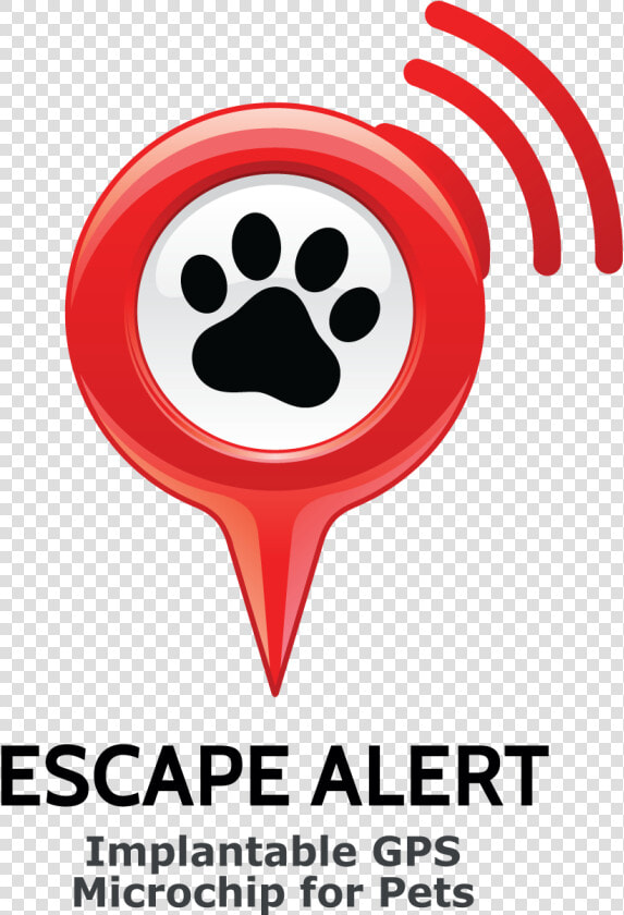 Implantable Gps Chip For Pets  HD Png DownloadTransparent PNG