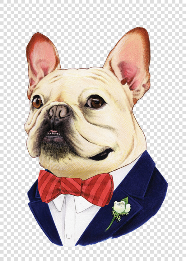 French Bulldog Png   French Bulldog Print Illustration  Transparent PngTransparent PNG