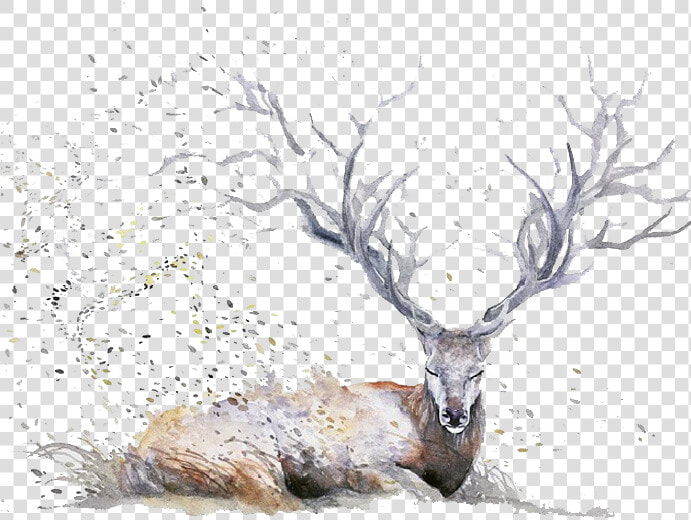 Transparent Watercolor Trees Png   Watercolor Animals Transparent Background  Png DownloadTransparent PNG