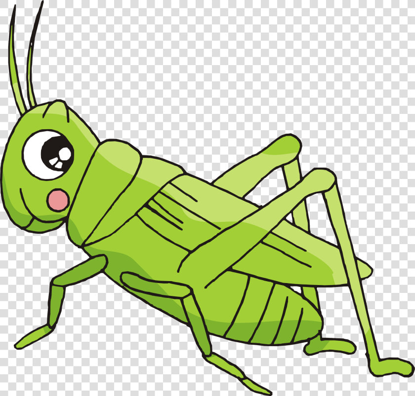 Cartoon Bush Crickets Creative   Imagenes De Grillo Animadas  HD Png DownloadTransparent PNG