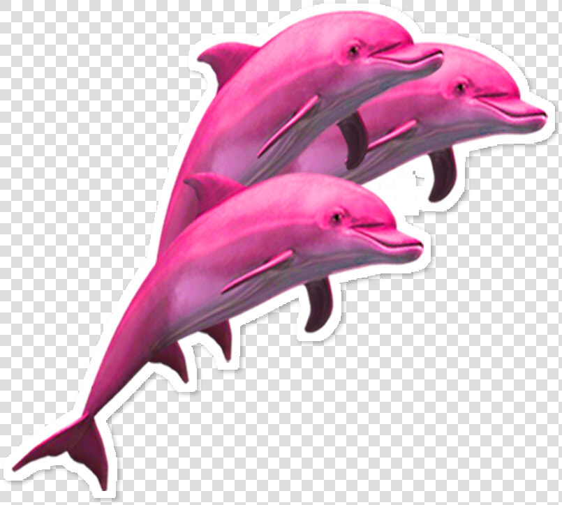  delfin  dolphin  dolphins  pink  rosa  vaporwave  aesthetic   Dolphin Png  Transparent PngTransparent PNG