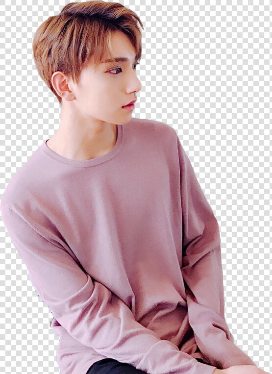 Svg Free Kpop Report Abuse   Joshua Lockscreen Joshua Seventeen  HD Png DownloadTransparent PNG