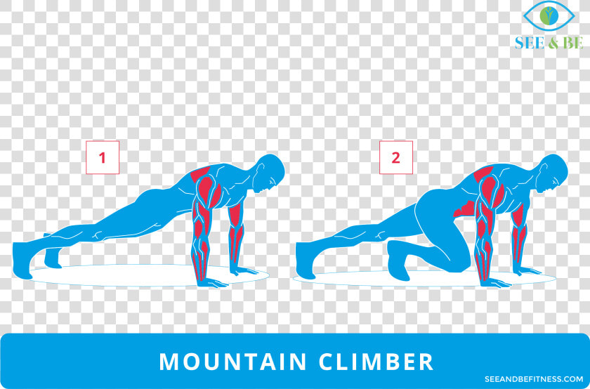 Muscle Group Png   Mountain Climber Muscles Workout  Transparent PngTransparent PNG