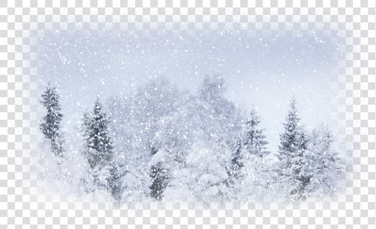 Snow Weather Winter Storm Blizzard   Blizzard Background  HD Png DownloadTransparent PNG