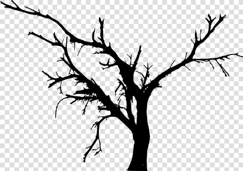 Simple Bare Tree Png   Tree Silhouette Vector Png  Transparent PngTransparent PNG